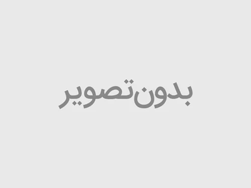 راهنمای استفاده از خودروی دایون